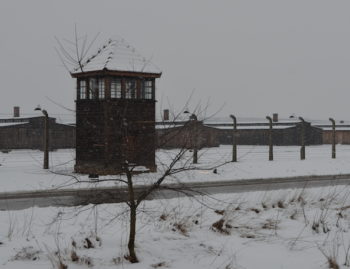 A view of Birkenau, the site of the memorial ceremony. (Toby Axelrod/JTA)