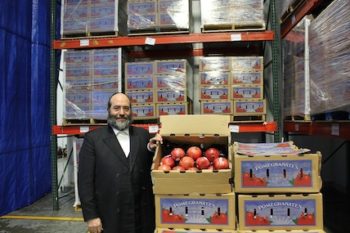 Rabbi Shulim Greenberg's organization,Chesed 24/7, receives a truckload of  pomegranates each year donated from Pom Wonderful, the nation's largest pomegranate juice producer. (Uriel Heilman)