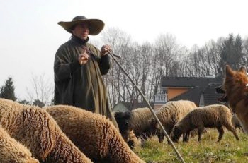 Breuer and his sheep in March 2015. (Courtesy Hans Breuer)