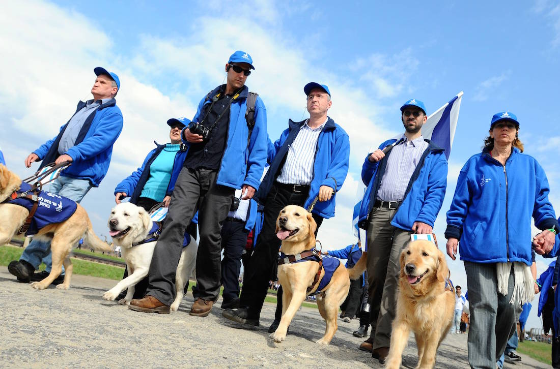 Participants in the March of the Living walking with their guide dogs. (Yossi Zeilger)