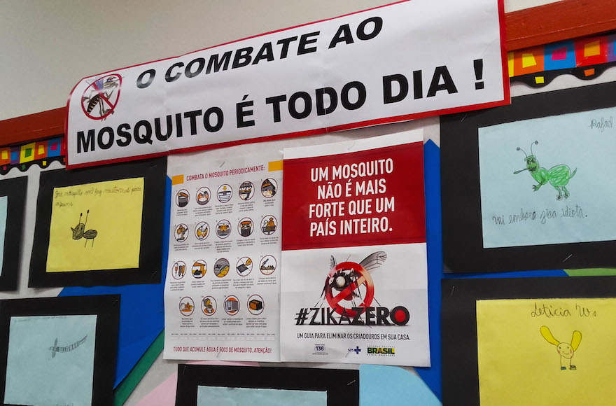 At Brazil’s largest Jewish school, the Liessin school, students are participating in the Zika Zero campaign. (Marcus Moraes)