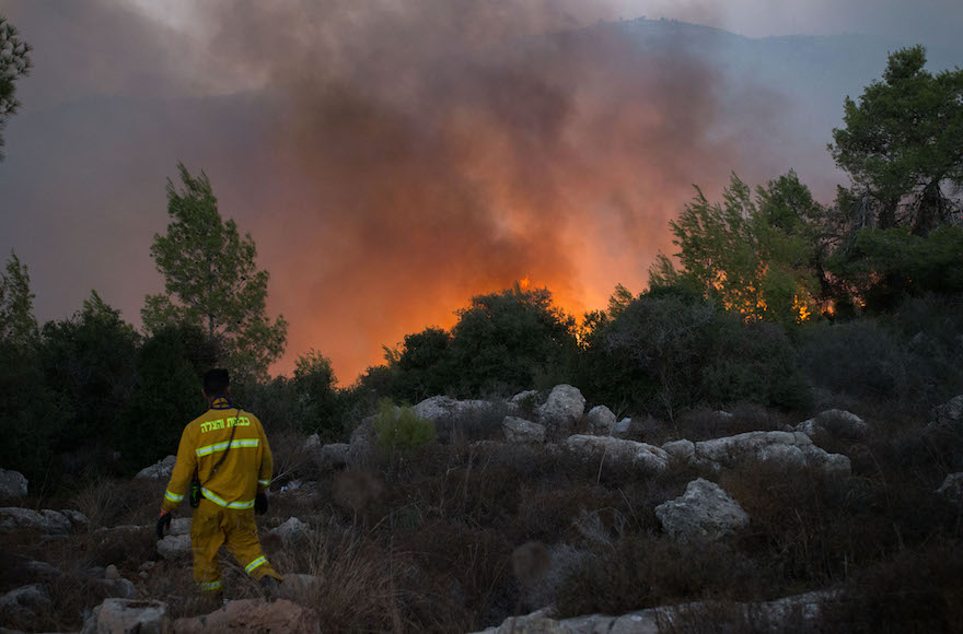 Fire fighters trying to extinguish a wildfire, which broke out at the entrance to Nataf, outside Jerusalem, Nov. 25, 2016. (Yonatan Sindel/Flash90)