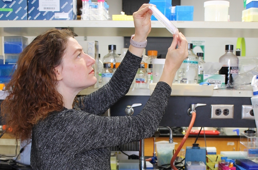 Dr. Joanna Slusky, a professor of molecular biosciences and computational biology at the University of Kansas, at work in her lab. (Sarah Mullinax)
