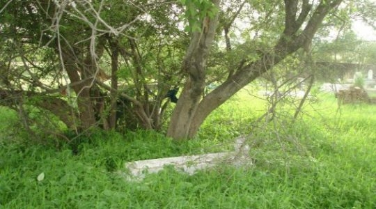 How to Save Pakistan's Lone Jewish Cemetery