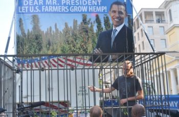 David Bronner of Dr. Bronner's Magic Soaps harvests industrial hemp in front of the White House. (Courtesy of Dr. Bronner's)