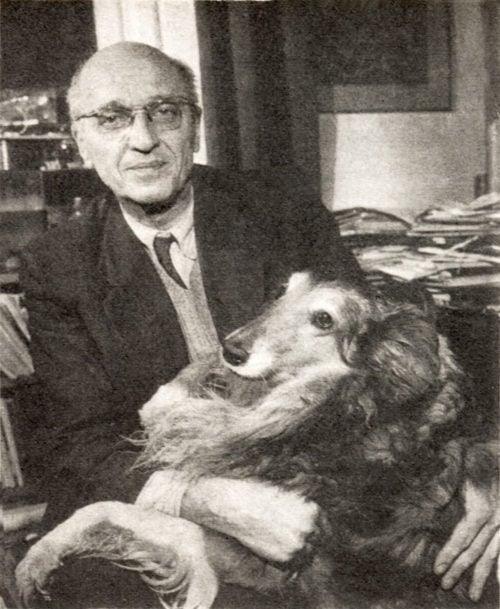 When 300 Jews escaped the Nazi camps by hiding in the Warsaw Zoo ...
