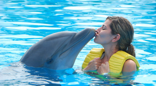 The Jewish Woman Who Married a Dolphin in Eilat