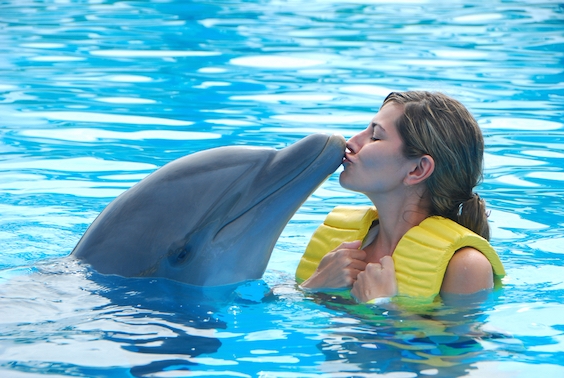 The Jewish Woman Who Married a Dolphin in Eilat