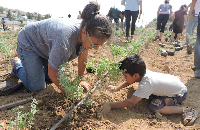 Nearly 100 volunteers, most of them in their 20s, helped plant gardens and pave a road in the Palestinian villages of the South Hebron Hills. (Ben Sales)