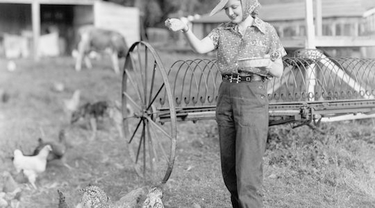 The Utopian Jewish Chicken Farmers of Petaluma, CA