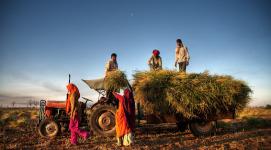 The Surprisingly Edible Way India’s Jews Mark Tisha B’Av