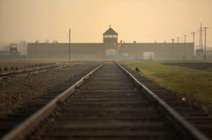 The railway track leading to the infamous 'Death Gate' at the Auschwitz II Birkenau extermination camp on November 13, 2014, in Oswiecim, Poland. (Christopher Furlong/Getty Images)