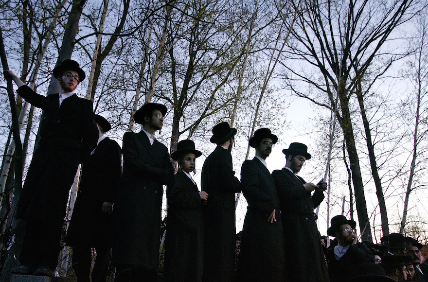 Hasidic Jews standing on a wall amongst trees as they try to see the burial of Rabbi Moses Teitelbaum, April 25, 2006, in Kiryas Joel, New York. (Stephen Chernin/Getty Images)