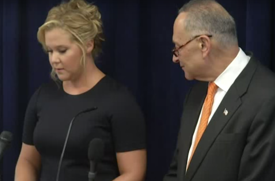 U.S. Sen. Charles Schumer of New York joins his cousin, comedian Amy Schumer, to launch a campaign for gun control. (Screenshot: YouTube)