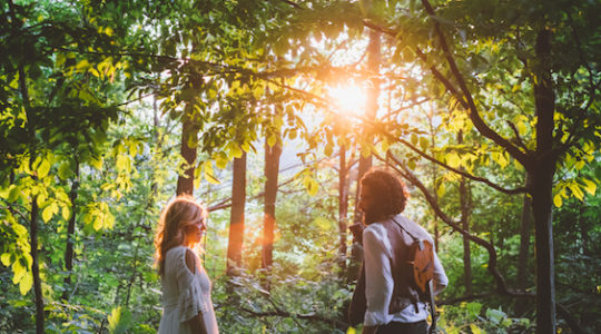 Young, In Love, and Singing Torah, Appalachian-Style