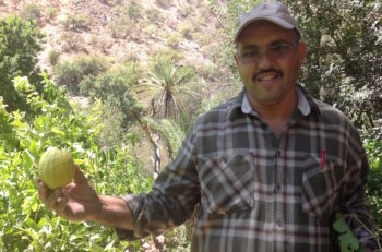 My driver, Mohammed, holding an etrog. (Ben Sales)