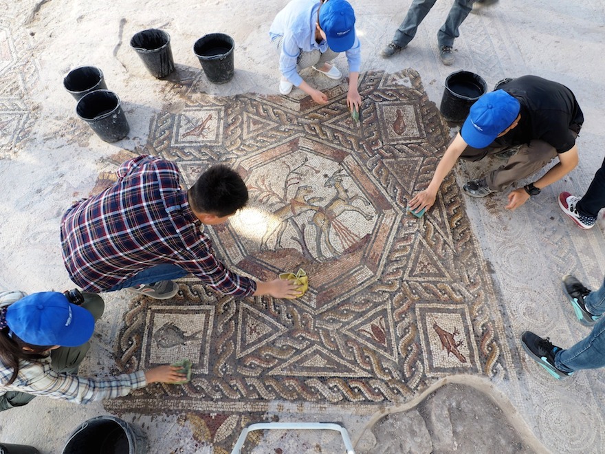 Preservationists work on the new mosaic found near the Lod Mosaic. (Assaf Peretz/Israel Antiquities Authority)