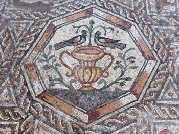 A section of the newly discovered mosaic that goes on public display this week. (Assaf Peretz/Israel Antiquities Authority)