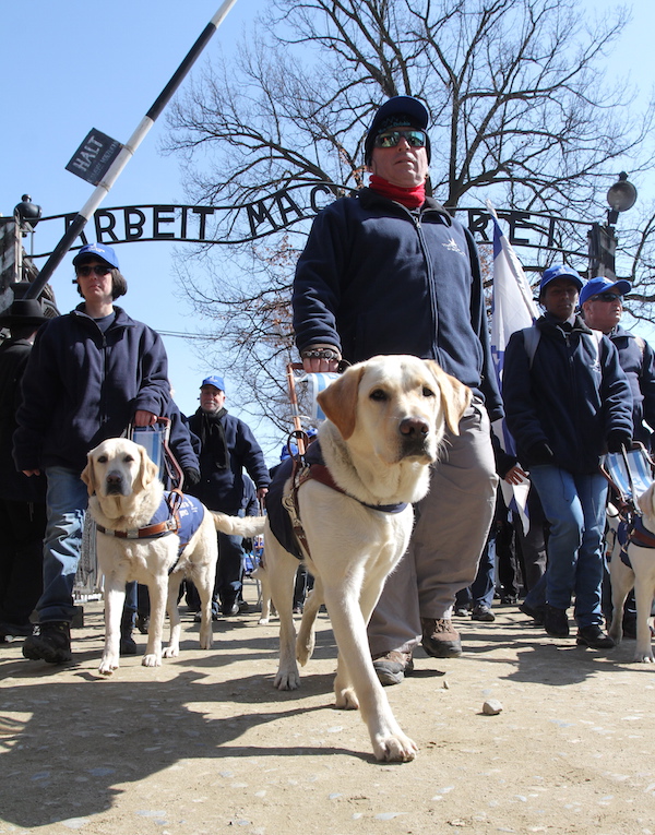 A blind participant in the March of the Living visits Auschwitz. (Jacek Bendarczyk/EPA)