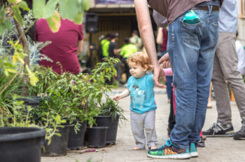 A scene from a recent event from the grassroots gardening group Onya Collective — one of a crop of community initiatives that seek to revitalize South Tel Aviv. (Gabi Berger)