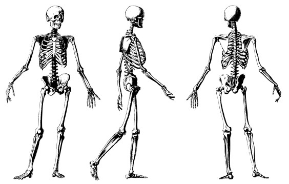 Jews & Muslims Agree: When Resurrection Comes, You Better Have Your Tailbone