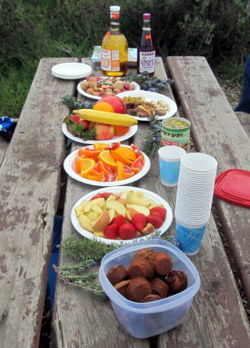 The Tu B’Shvat seder table.  (Edmon J. Rodman)