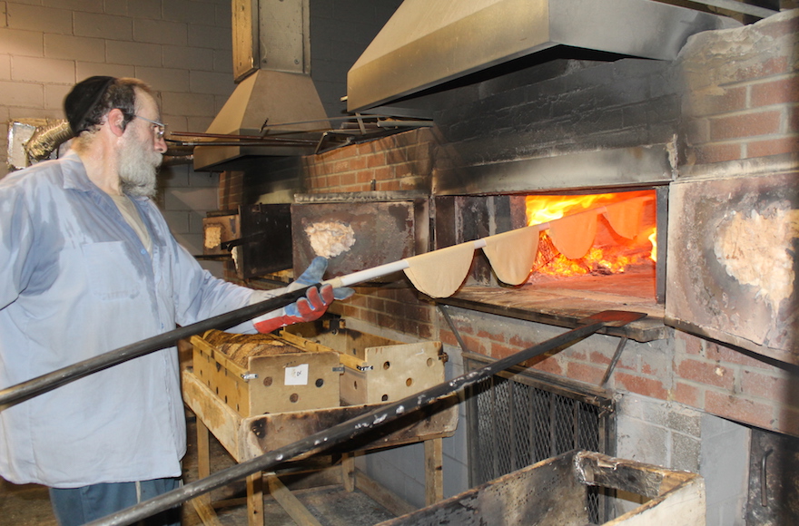 It takes about 20 seconds in a 1,300-degree, coal-and-wood-fired oven to bake shmurah matzah to perfection. (Uriel Heilman)