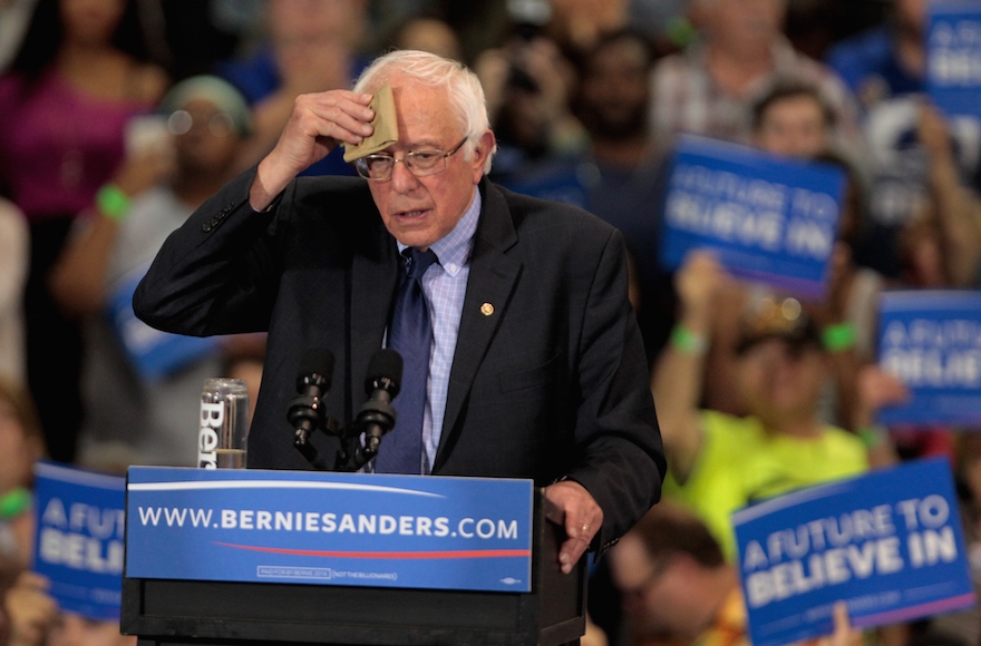 Bernie Sanders addressing the crowd during a campaign rally in Huntington, W.Va., April 26, 2016. (John Sommers II/Getty Images)