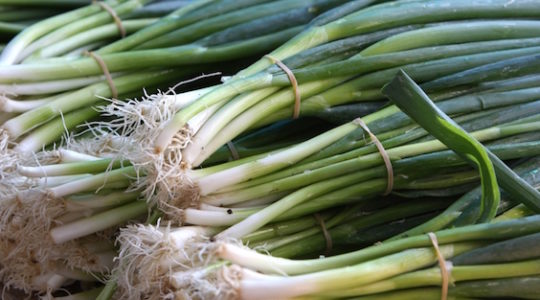Make a Sephardic Seder, Whip Your Friends With Scallions