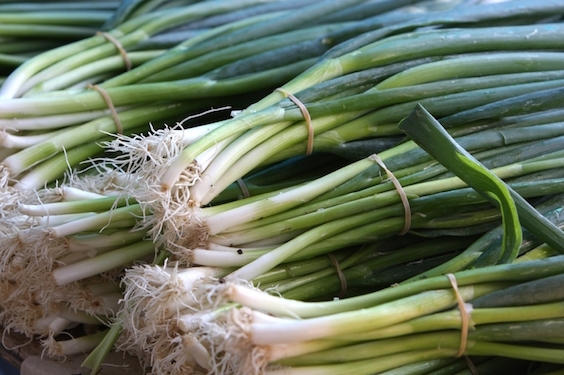 Make a Sephardic Seder, Whip Your Friends With Scallions