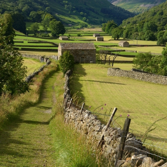 The Jew Who Made England a Paradise for Walking