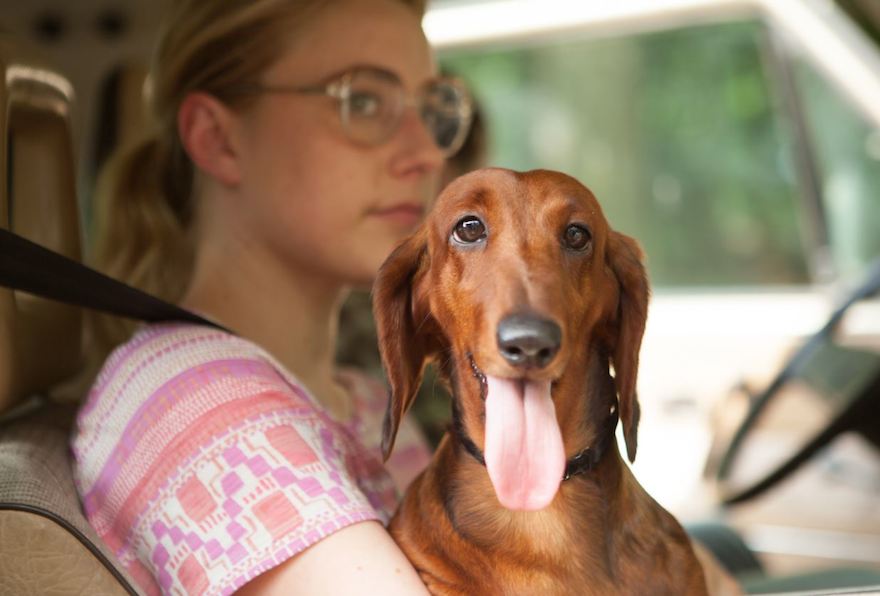 Greta Gerwig as Dawn Wiener, with dog, in Todd Solondz's 