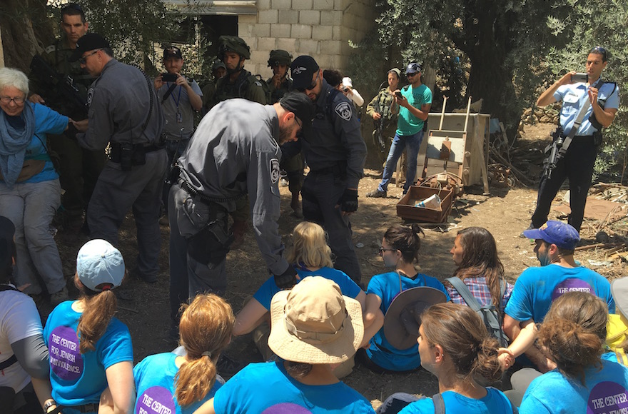 Israeli authorities removing activists from the Center for Jewish Nonviolence from property in Hebron, July 16, 2016. (Andrew Tobin)