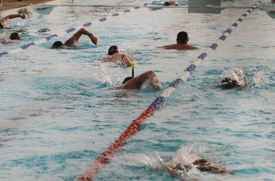 People swimming in a pool on in Tel Aviv, on May 15, 2016. (Roni Schutzer/Flash90)