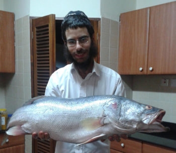 Rabbi Shmuel Notik holding a Nile perch at his home in Nairobi in 2015. (Courtesy of Shmuel Notik)