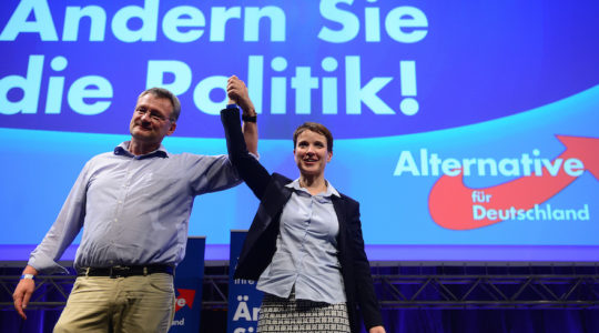 Afd Germany