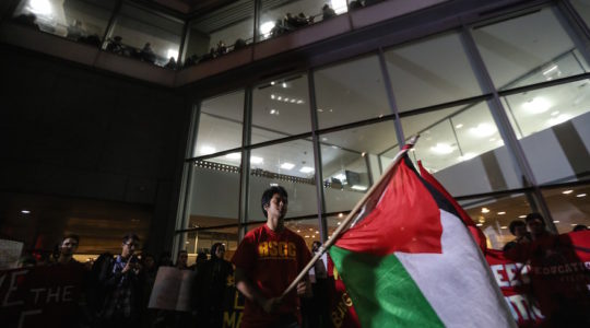 Hunter College Palestinian flag