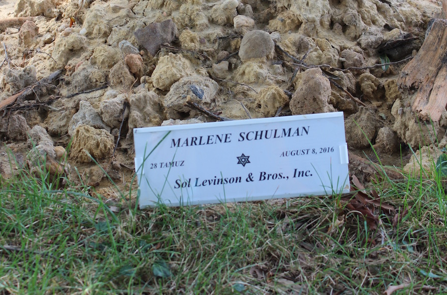 The grave of Marlene Schulman, who died in Baltimore on Aug. 3 and was buried two days later. The marker is incorrect. (Hillel Kuttler)