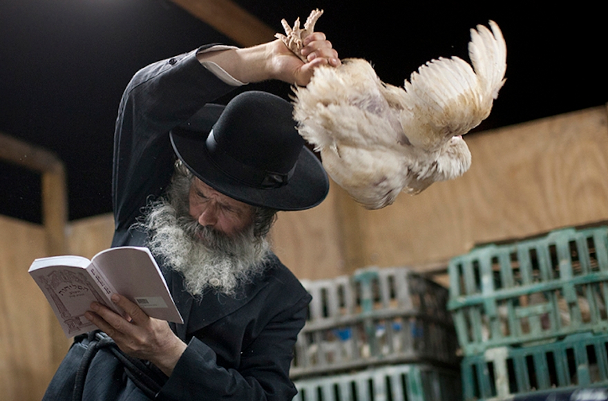 A haredi Orthodox man participating in the kapparot ritual in Ashdod, Israel. (Dima Vazinovich/Flash90)