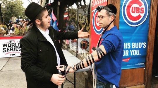 Cubs tefillin