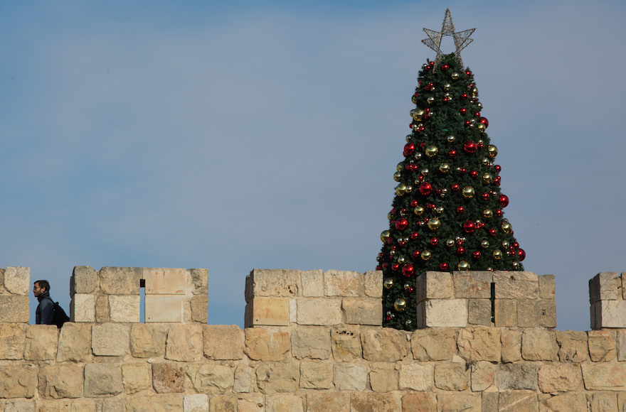 A christmas tree standing behind the walls of the Old City of Jerusalem, Dec. 26, 2015. (Nati Shohat/Flash90)