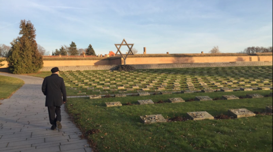 Corbyn Terezin