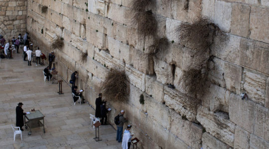 Western Wall