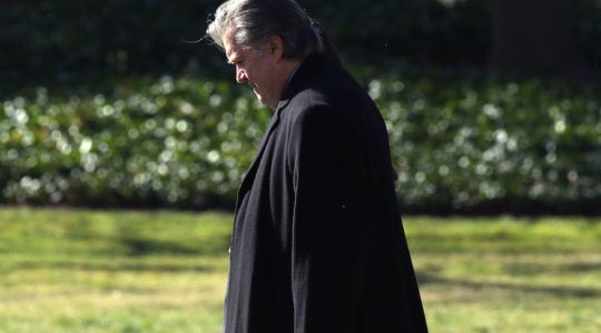 Stephen Bannon