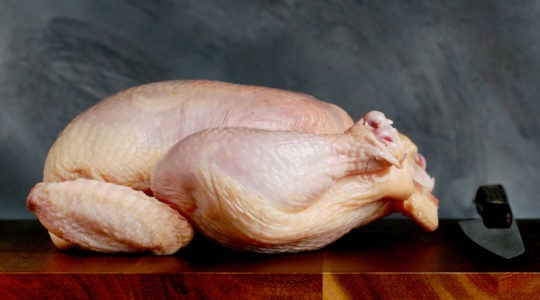 raw chicken