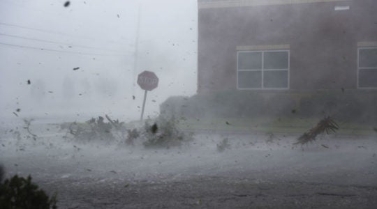 Hurricane Michael