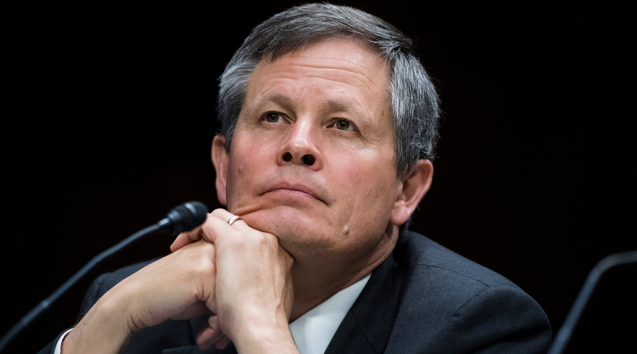 Sen. Steve Daines