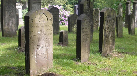 The Harburg Jewish Cemetery Archaeological Museum Hamburg