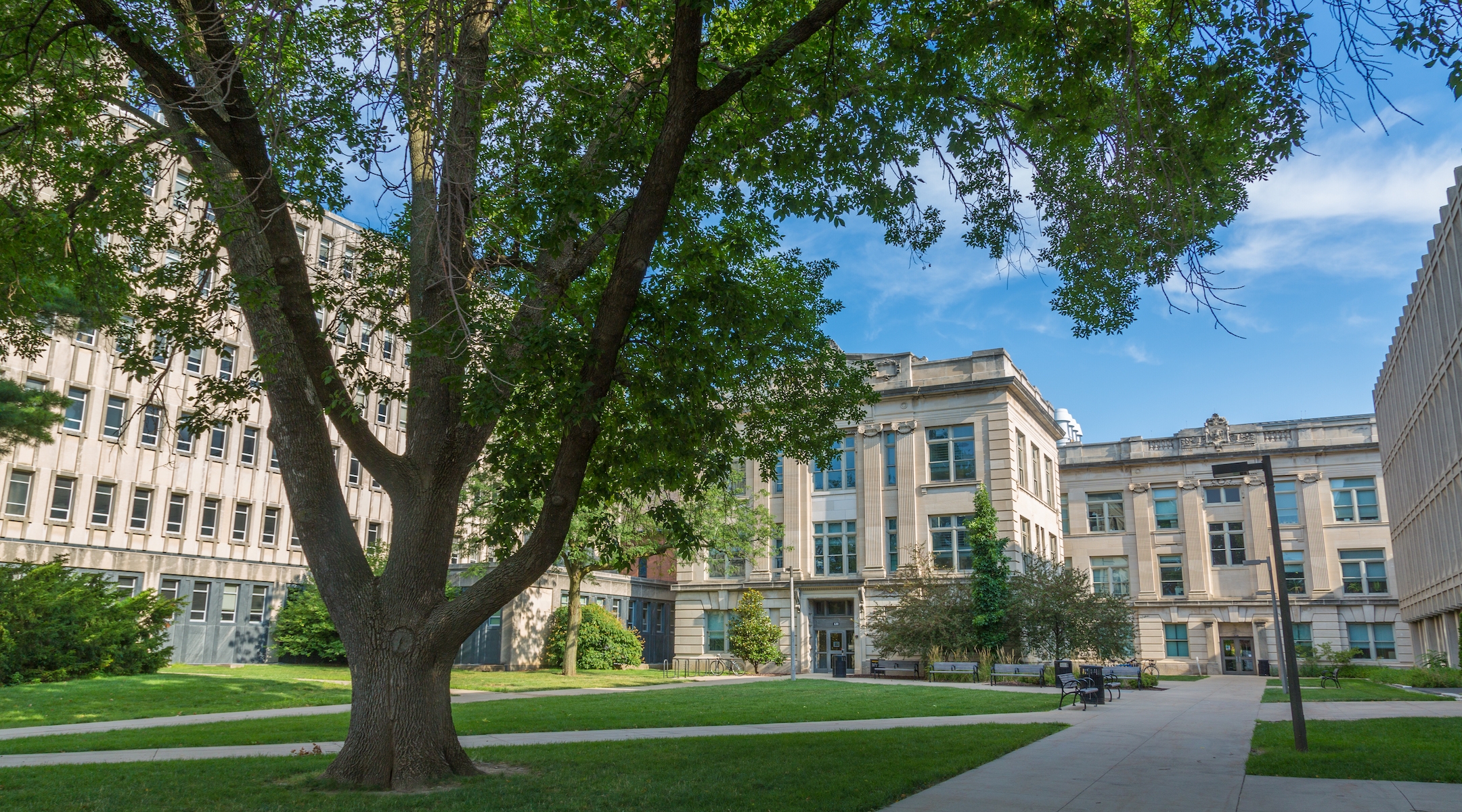 A view of the University of Iowa campus in Iowa City, Iowa. (Wikimedia Commons)