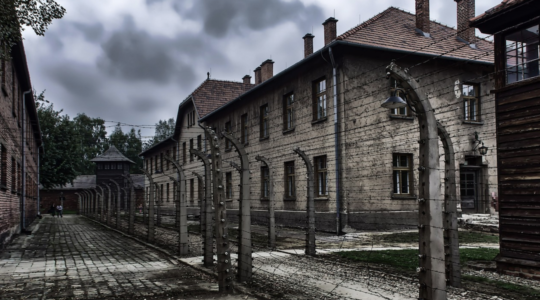 Auschwitz